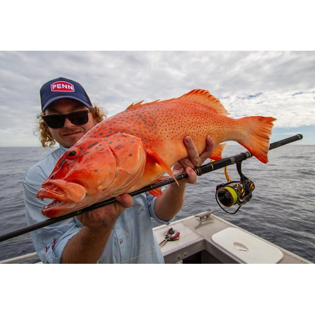 Penn Slammer IV(4) Spinning Reel | 4500 , 4500HS - fishermanshub4500