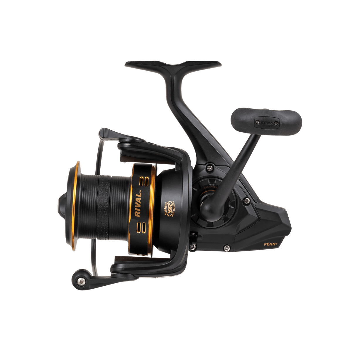 Penn Rival Gold LC Spinning Reel | Surfcasting , Carp Fishing, Baitfeeder | RIVAL 6000LC GOLD | - FishermanshubRIVAL 6000LC GOLD