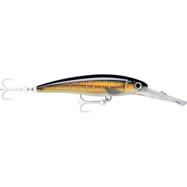 Rapala XRap Magnum Hard Lures | 16 Cm , 72 Gm | 18 Cm , 97 Gm | Trolling Lures - fishermanshub16 CmHD Sailfish UV