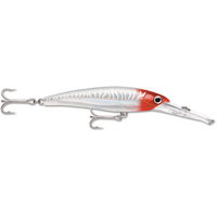 Rapala XRap Magnum Hard Lures | 16 Cm , 72 Gm | 18 Cm , 97 Gm | Trolling Lures - fishermanshub16 CmRed Head UV