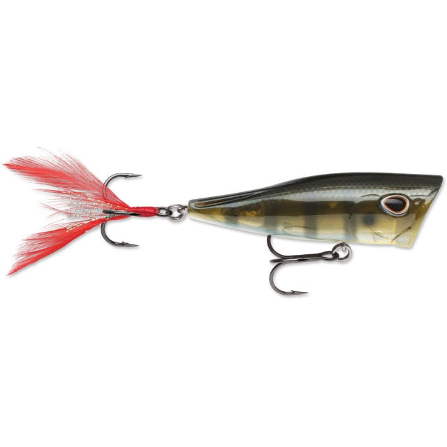 Storm Arashi Rattling Cover Pop Popper | 8 Cm | 14 Gm | Floating - fishermanshub8 CmGREEN GILL