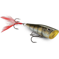 Storm Arashi Rattling Cover Pop Popper | 8 Cm | 14 Gm | Floating - fishermanshub8 CmGREEN GILL