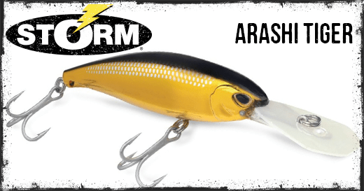 Storm Arashi Tiger Hard Baits | 10 Cm | 23 Gm | Floating | Trolling Lures - fishermanshub10 CmBLOODY WHITE BAIT
