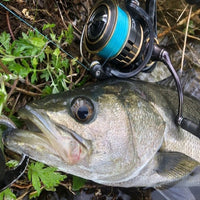 Sunline Siglon PE Advanced Braided Fishing Line | 300 Mt / 325 Yd | Multicolour - fishermanshub0.24MM | 10.9Kg (24Lb)Multicolour