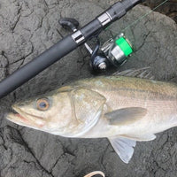 Sunline X Plasma Asegai Braided Fishing Line | 300 Mt / 325 Yd | Dark Green - fishermanshub0.24MM | 9.1Kg (20Lb)Dark Green