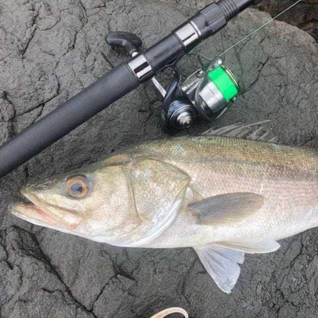 Sunline X Plasma Asegai Braided Fishing Line | 300 Mt / 325 Yd | Dark Green - fishermanshub0.24MM | 9.1Kg (20Lb)Dark Green