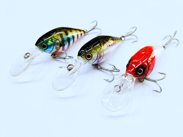 Ultra Light Tackle Collection: Gear Up for Precision Fishing