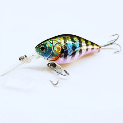Strike Pro Cranky-X Deep Suspending Lures | 6 Cm | 16 Gm | Suspending - fishermanshub6 Cm630V