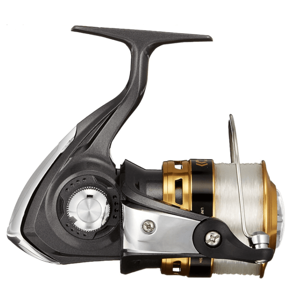 Unleash Your Fishing Potential with Daiwa Fishing Rods and reels