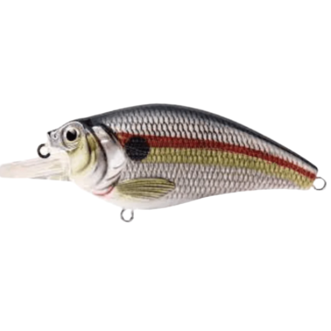 Zerek Ruby Crank Long Bib Hard Baits | 6 Cm | 11 Gm | Floating - fishermanshub6 CmSTRIPE PERCH