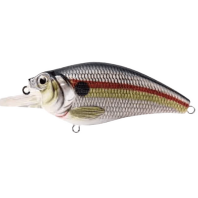 Zerek Ruby Crank Long Bib Hard Baits | 6 Cm | 11 Gm | Floating - fishermanshub6 CmSTRIPE PERCH