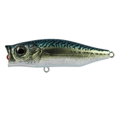 Zerek Gobble Hardbait Topwater Popper Lure | 7 Cm | 12 Gm | Floating | Popper - fishermanshub7 CmAnchovy