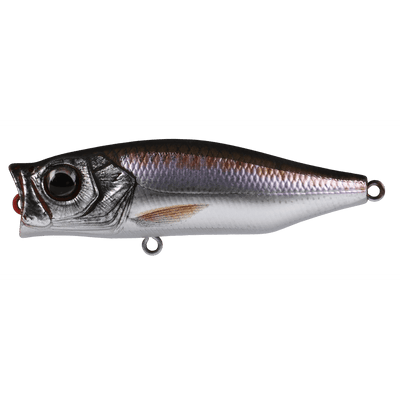 Zerek Gobble Hardbait Topwater Popper Lure | 7 Cm | 12 Gm | Floating | Popper - fishermanshub7 CmAnchovy