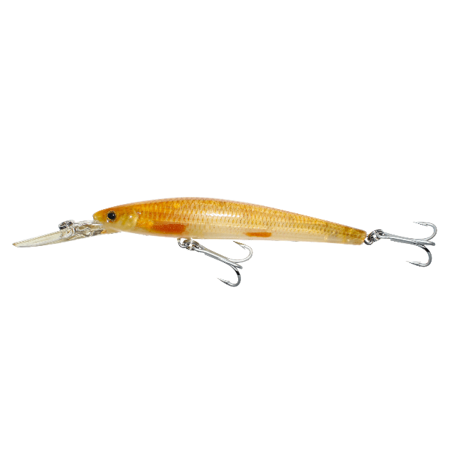 Cassan Barramagic Hard Bait Lures | 12 Cm | 21 Gm | Suspending | - fishermanshubGOLD KOI CLP141