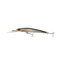 Cassan Barramagic Hard Bait Lures | 12 Cm | 21 Gm | Suspending | - fishermanshubCSL 143