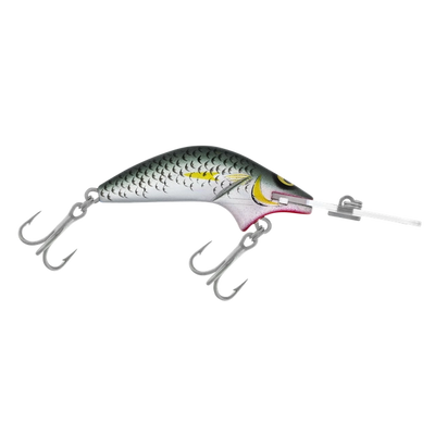Halco Poltergeist Hard Lure | 8 Cm | 17 Gm | Trolling | - fishermanshub8 CmMullet R25